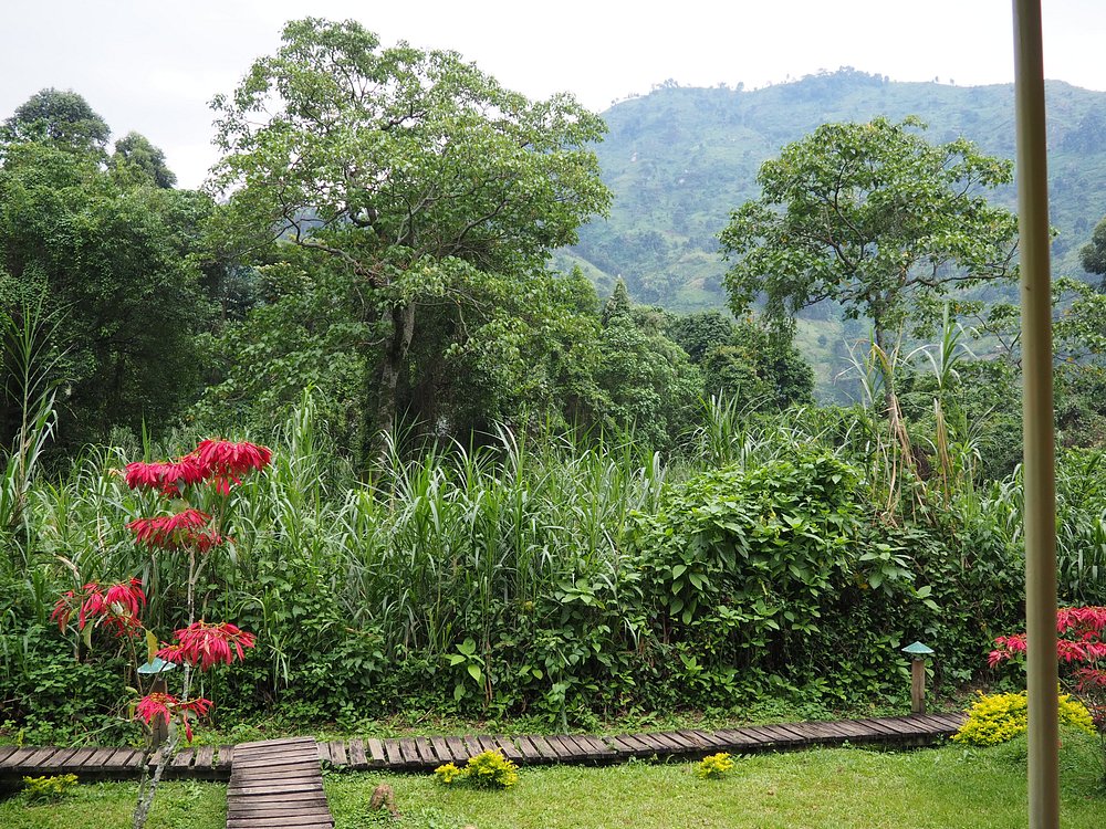 Ruboni Community Camp